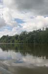 amazonas jungle 