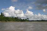 amazonas jungle 