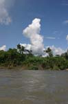 amazonas jungle 