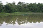 amazonas people 