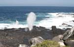 galapagos espagnola island 