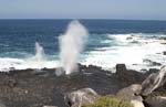 galapagos espagnola island 