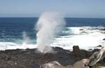 galapagos espagnola island 