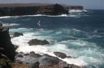 galapagos espagnola island 