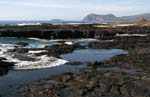 galapagos marine iguanas rocks