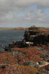 galapagos plaza sur island 