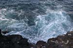 galapagos plaza sur island 