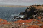 galapagos plaza sur island 