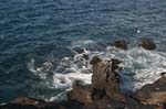 galapagos plaza sur island 