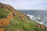 Ireland Wexford Saltee Islands 