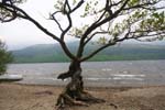 Scotland Loch Lomond National Parc