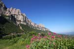 montserrat 