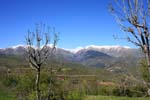 pyrenees 