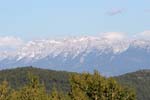 pyrenees 