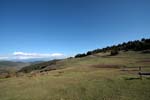 pyrenees 