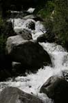 pyrenees 