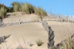 camargue beach 