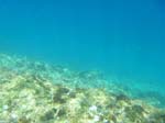 croatia dalmatian coast underwater 