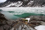 nigardsbreen 