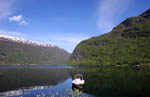 sognefjord vangesnes 