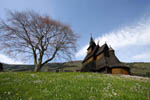 sognefjord vik stave church 