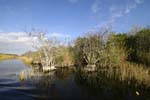 everglades 