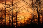 everglades sunset 