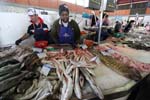 algarve olhao market 