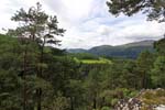 Foyers Forest Overlooking Loch Ness 