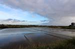 Bretagne-Guerande 