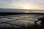 Bretagne-Guerande 