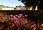 Loire Valley-Bouchet 