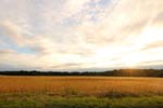 Loire Valley-Landscapes 