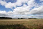 Loire Valley-Landscapes 