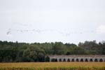 Loire Valley-Landscapes 