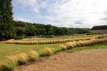 Loire Valley-Sache 