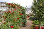 Loire Valley-Villandry 