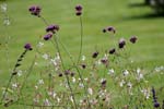 Macro-Flowerfields 