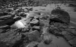 bretagne cote de plougrescant  bw
